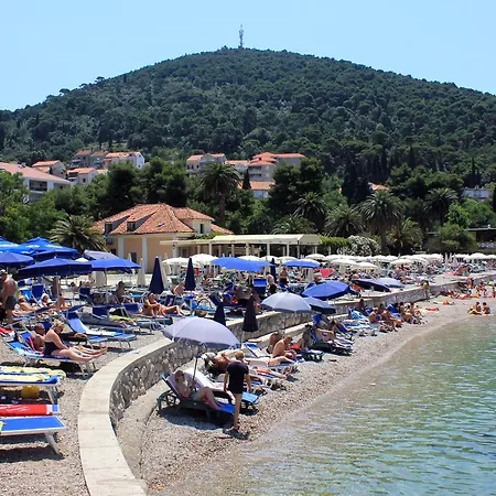 Apartamento With Wifi - 8565 Dubrovnik