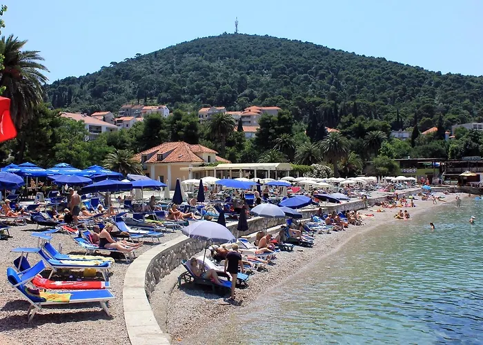 Apartamento With Wifi - 8565 Dubrovnik